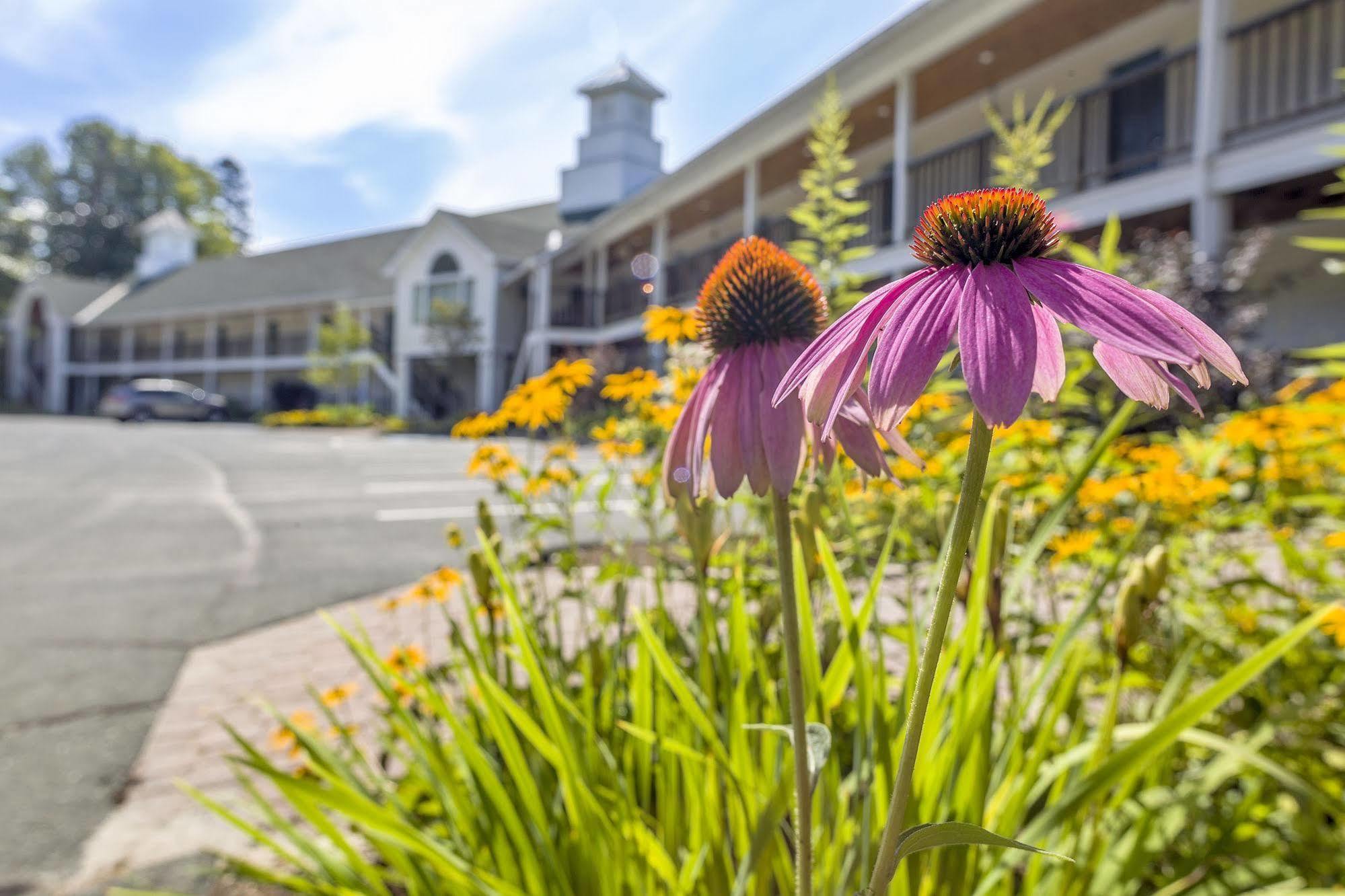 Fairbanks Inn Saint Johnsbury Buitenkant foto